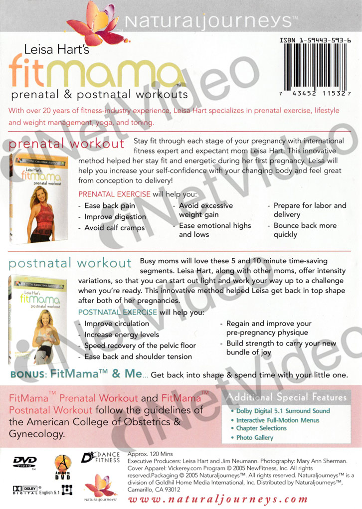 leisa hart s fitmama prenatal and postnatal workouts leisa hart s fitmama prenatal and postnatal workouts
